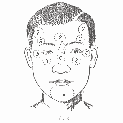 12 cung trong tướng học